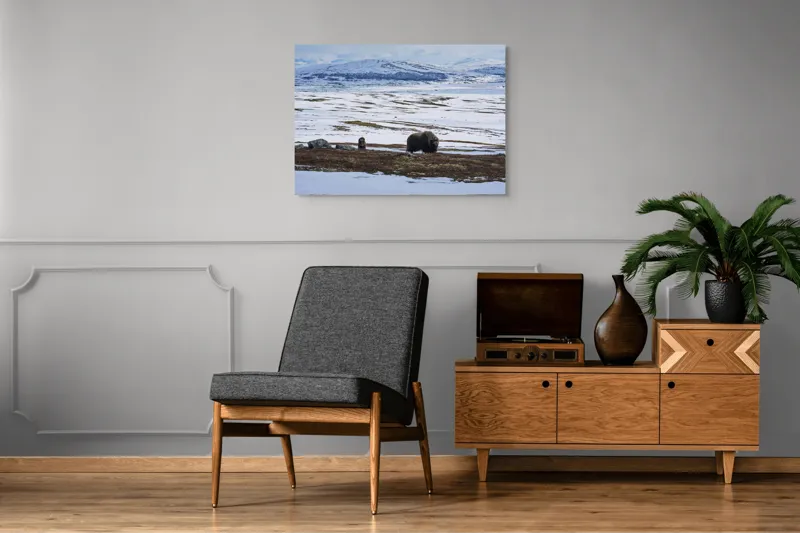 Tablou Canvas, "Moscari pe întinderile arctice ale Norvegiei", Bivoli, Zăpadă, Peisaj, Munte, Cer, Stânci, Tundră, Liniște, Natură, Câmpie, 100 x 70 cm – poza 8