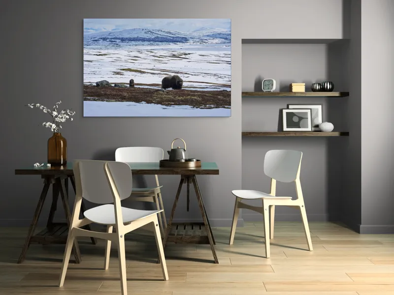 Tablou Canvas, "Moscari pe întinderile arctice ale Norvegiei", Bivoli, Zăpadă, Peisaj, Munte, Cer, Stânci, Tundră, Liniște, Natură, Câmpie, 150 x 100 cm – poza 5