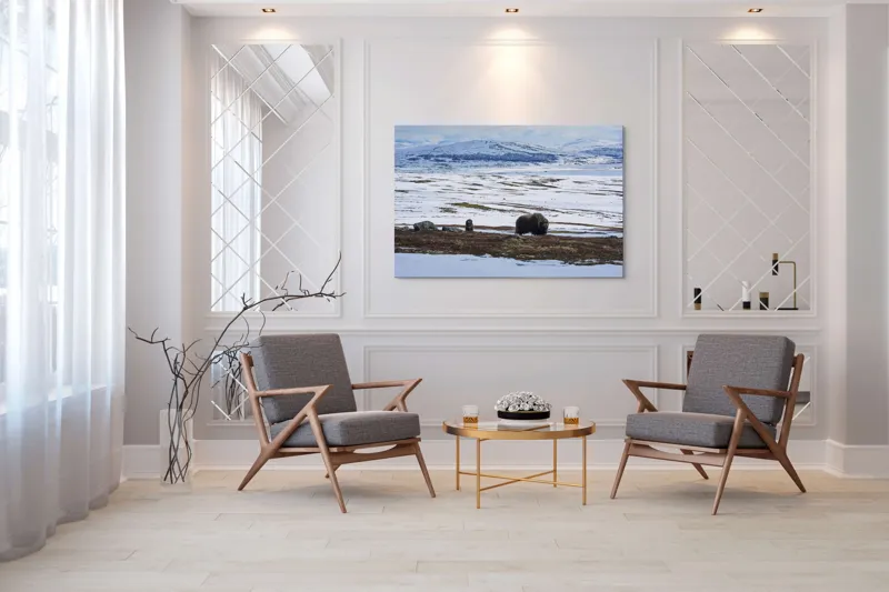 Tablou Canvas, "Moscari pe întinderile arctice ale Norvegiei", Bivoli, Zăpadă, Peisaj, Munte, Cer, Stânci, Tundră, Liniște, Natură, Câmpie, 150 x 100 cm – poza 7