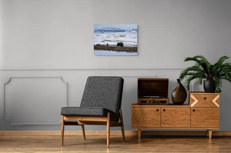 Tablou Canvas, "Moscari pe întinderile arctice ale Norvegiei", Bivoli, Zăpadă, Peisaj, Munte, Cer, Stânci, Tundră, Liniște, Natură, Câmpie, 70 x 50 cm – poza 4