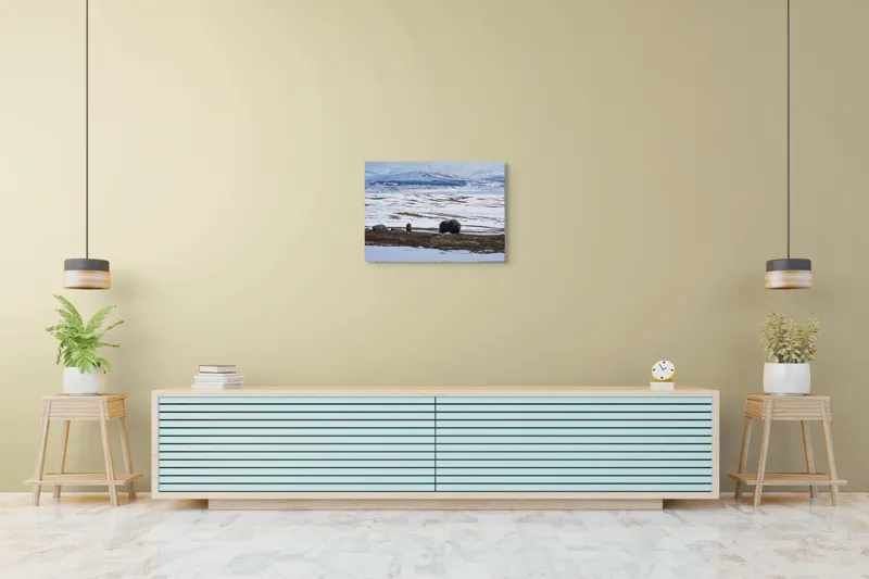 Tablou Canvas, "Moscari pe întinderile arctice ale Norvegiei", Bivoli, Zăpadă, Peisaj, Munte, Cer, Stânci, Tundră, Liniște, Natură, Câmpie, 70 x 50 cm – poza 7