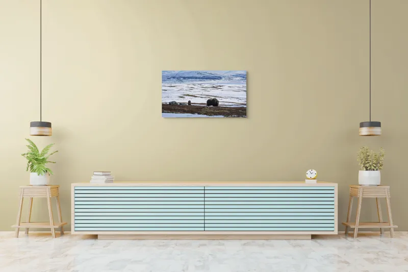Tablou Canvas, "Moscari pe întinderile arctice ale Norvegiei", Bivoli, Zăpadă, Peisaj, Munte, Cer, Stânci, Tundră, Liniște, Natură, Câmpie, 90 x 50 cm – poza 5