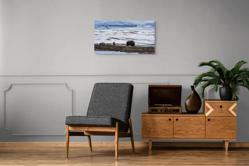 Tablou Canvas, "Moscari pe întinderile arctice ale Norvegiei", Bivoli, Zăpadă, Peisaj, Munte, Cer, Stânci, Tundră, Liniște, Natură, Câmpie, 90 x 50 cm – poza 6