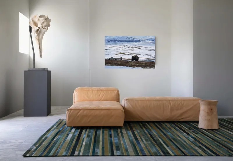 Tablou Canvas, "Moscari pe întinderile arctice ale Norvegiei", Bivoli, Zăpadă, Peisaj, Munte, Cer, Stânci, Tundră, Liniște, Natură, Câmpie, 90 x 50 cm – poza 8