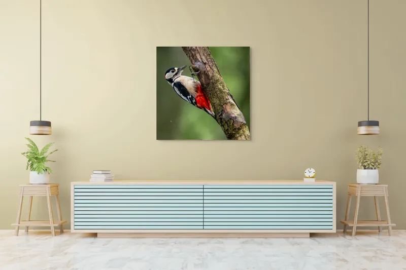 Tablou Canvas, "Ciocănitoarea la datorie în pădure", Pajură, Culoare, Natură, Pădure, Lemn, Penaj, Contrast, Detaliu, 100 x 100 cm – poza 5