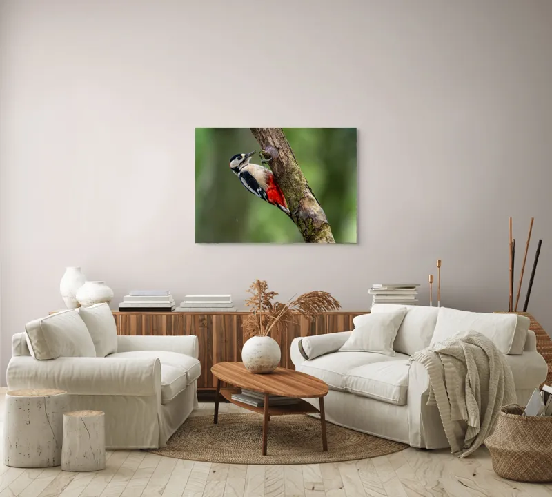 Tablou Canvas, "Ciocănitoarea la datorie în pădure", Pajură, Culoare, Natură, Pădure, Lemn, Penaj, Contrast, Detaliu, 100 x 70 cm – poza 3