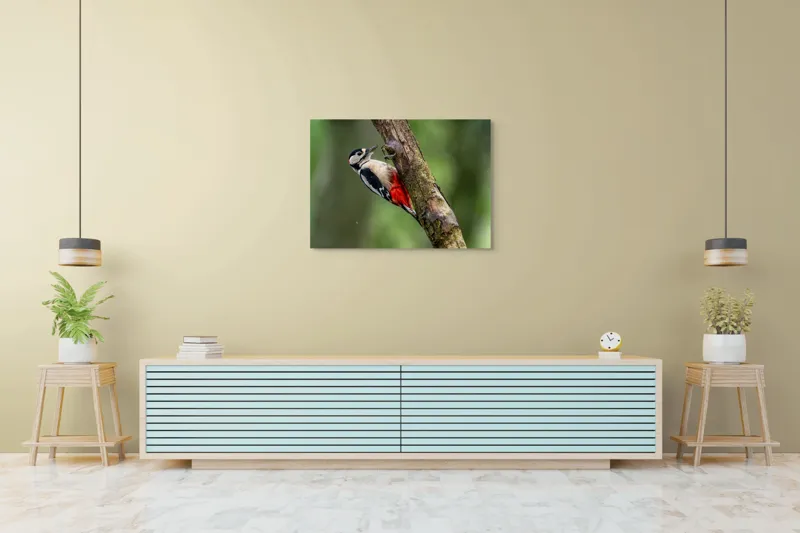 Tablou Canvas, "Ciocănitoarea la datorie în pădure", Pajură, Culoare, Natură, Pădure, Lemn, Penaj, Contrast, Detaliu, 100 x 70 cm – poza 4