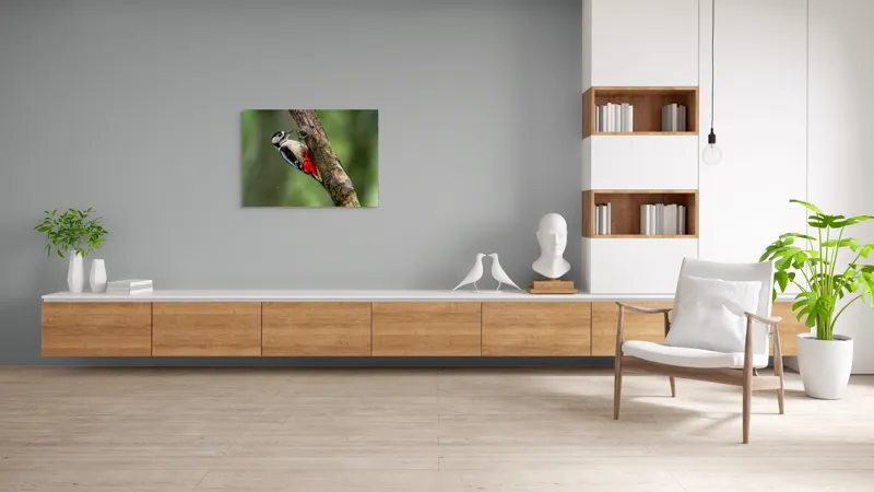 Tablou Canvas, "Ciocănitoarea la datorie în pădure", Pajură, Culoare, Natură, Pădure, Lemn, Penaj, Contrast, Detaliu, 100 x 70 cm – poza 6