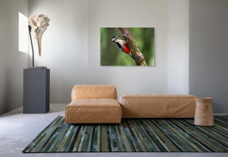 Tablou Canvas, "Ciocănitoarea la datorie în pădure", Pajură, Culoare, Natură, Pădure, Lemn, Penaj, Contrast, Detaliu, 100 x 70 cm – poza 7