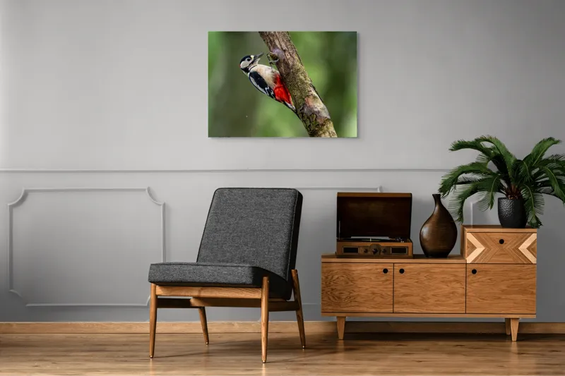 Tablou Canvas, "Ciocănitoarea la datorie în pădure", Pajură, Culoare, Natură, Pădure, Lemn, Penaj, Contrast, Detaliu, 100 x 70 cm – poza 8