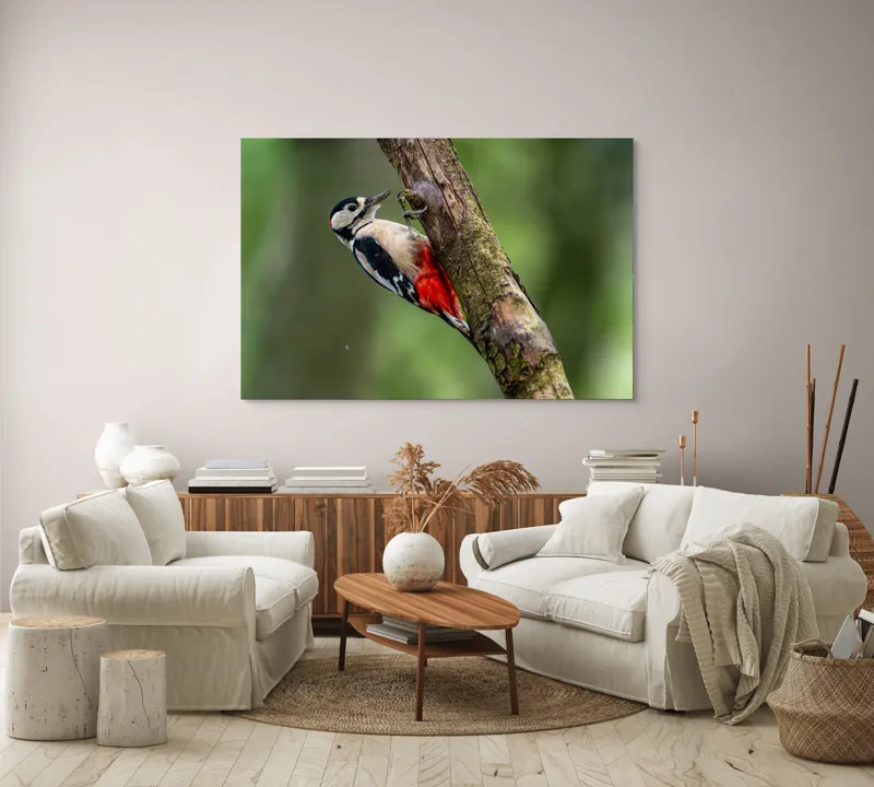 Tablou Canvas, "Ciocănitoarea la datorie în pădure", Pajură, Culoare, Natură, Pădure, Lemn, Penaj, Contrast, Detaliu, 150 x 100 cm – poza 3