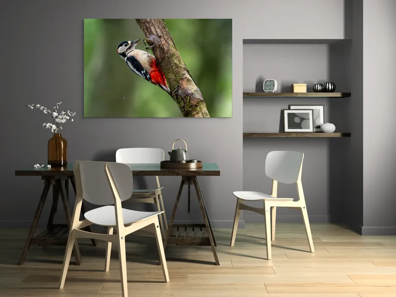 Tablou Canvas, "Ciocănitoarea la datorie în pădure", Pajură, Culoare, Natură, Pădure, Lemn, Penaj, Contrast, Detaliu, 150 x 100 cm – poza 5