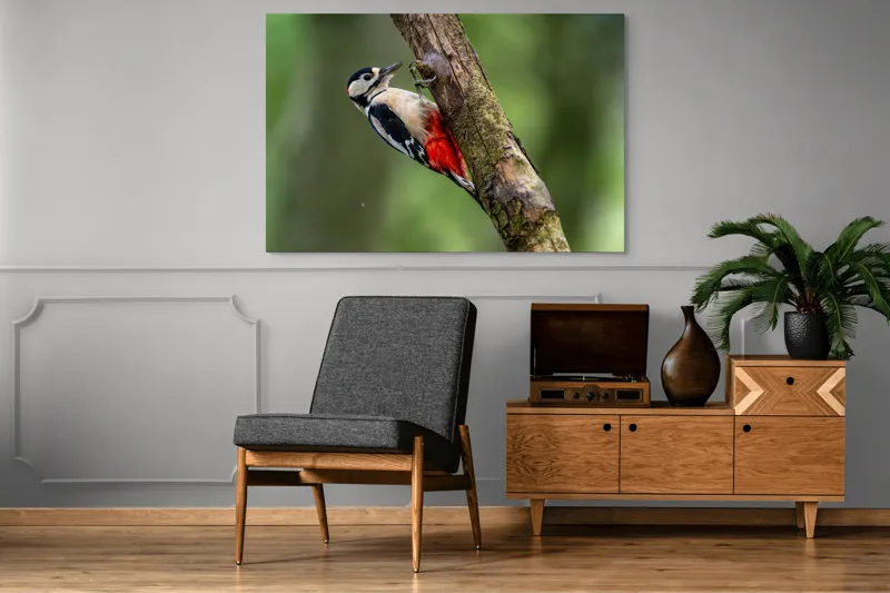 Tablou Canvas, "Ciocănitoarea la datorie în pădure", Pajură, Culoare, Natură, Pădure, Lemn, Penaj, Contrast, Detaliu, 150 x 100 cm – poza 8