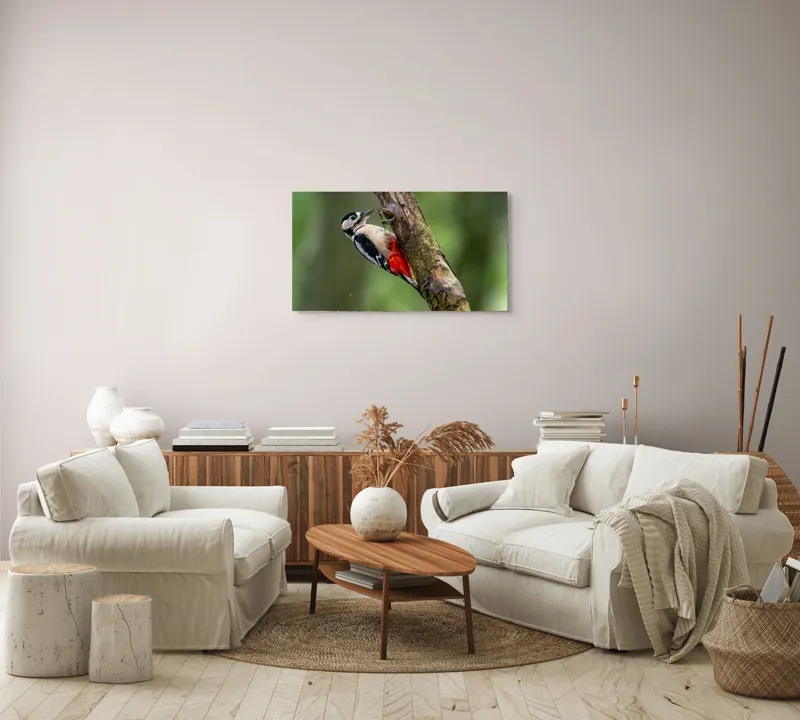 Tablou Canvas, "Ciocănitoarea la datorie în pădure", Pajură, Culoare, Natură, Pădure, Lemn, Penaj, Contrast, Detaliu, 90 x 50 cm – poza 4