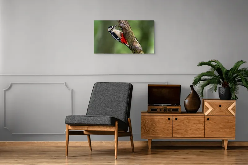 Tablou Canvas, "Ciocănitoarea la datorie în pădure", Pajură, Culoare, Natură, Pădure, Lemn, Penaj, Contrast, Detaliu, 90 x 50 cm – poza 6