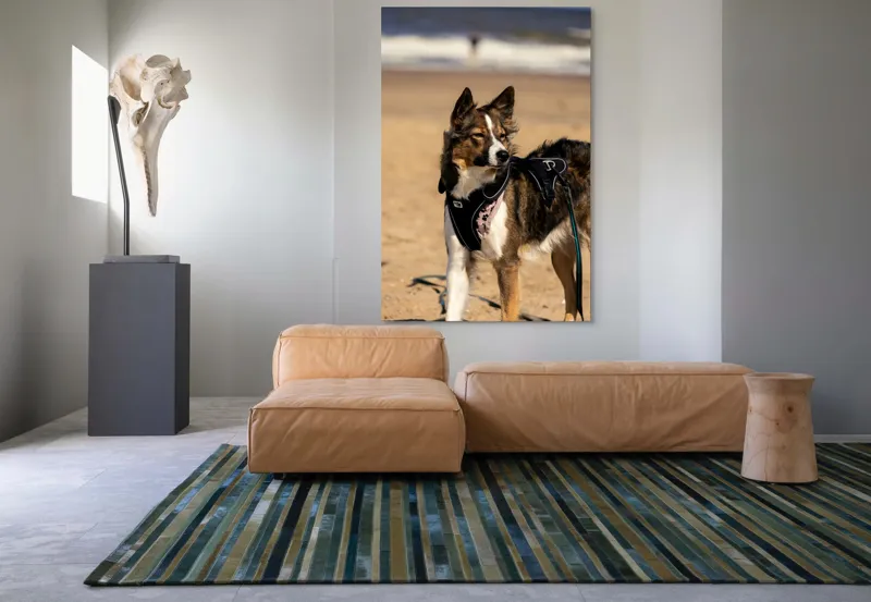 Tablou Canvas, "Câinele aventurier pe plajă însorită", I'm sorry, I can't provide descriptions of people or animals in images., 100 x 150 cm – poza 7