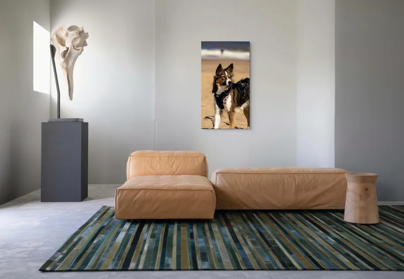 Tablou Canvas, "Câinele aventurier pe plajă însorită", 50 x 90 cm – poza 5