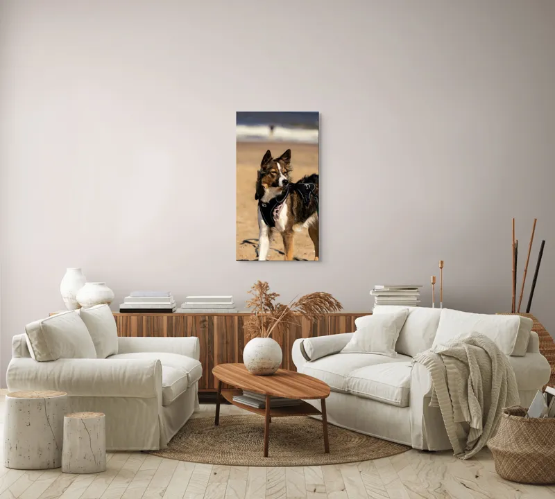 Tablou Canvas, "Câinele aventurier pe plajă însorită", 50 x 90 cm – poza 7