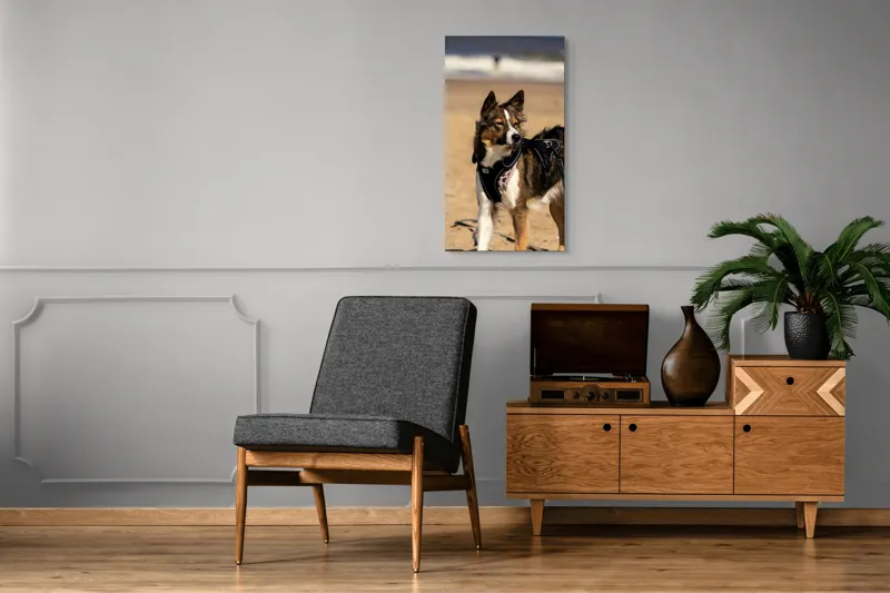 Tablou Canvas, "Câinele aventurier pe plajă însorită", 50 x 90 cm – poza 8