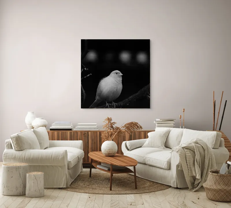 Tablou Canvas, "Pasărea albă pe ramură întunecată", Pasăre, Ramură, Alb, Negru, Liniște, Contrast, Natură, Delicatețe, Singurătate, Contemplare, 100 x 100 cm – poza 3