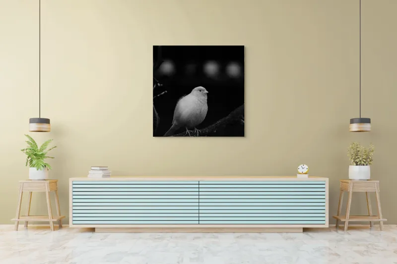 Tablou Canvas, "Pasărea albă pe ramură întunecată", Pasăre, Ramură, Alb, Negru, Liniște, Contrast, Natură, Delicatețe, Singurătate, Contemplare, 100 x 100 cm – poza 5