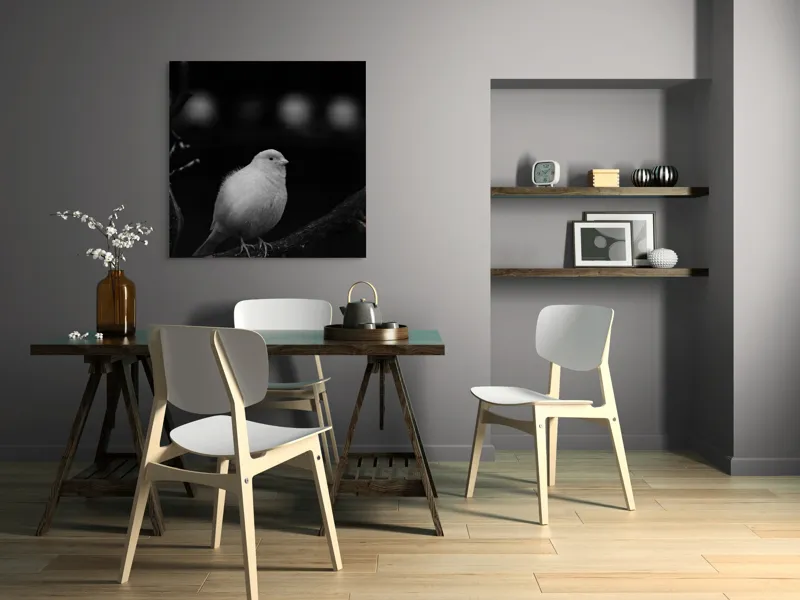 Tablou Canvas, "Pasărea albă pe ramură întunecată", Pasăre, Ramură, Alb, Negru, Liniște, Contrast, Natură, Delicatețe, Singurătate, Contemplare, 100 x 100 cm – poza 6