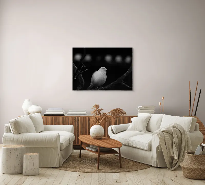 Tablou Canvas, "Pasărea albă pe ramură întunecată", Pasăre, Ramură, Alb, Negru, Liniște, Contrast, Natură, Delicatețe, Singurătate, Contemplare, 100 x 70 cm – poza 3