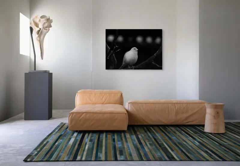 Tablou Canvas, "Pasărea albă pe ramură întunecată", Pasăre, Ramură, Alb, Negru, Liniște, Contrast, Natură, Delicatețe, Singurătate, Contemplare, 100 x 70 cm – poza 7