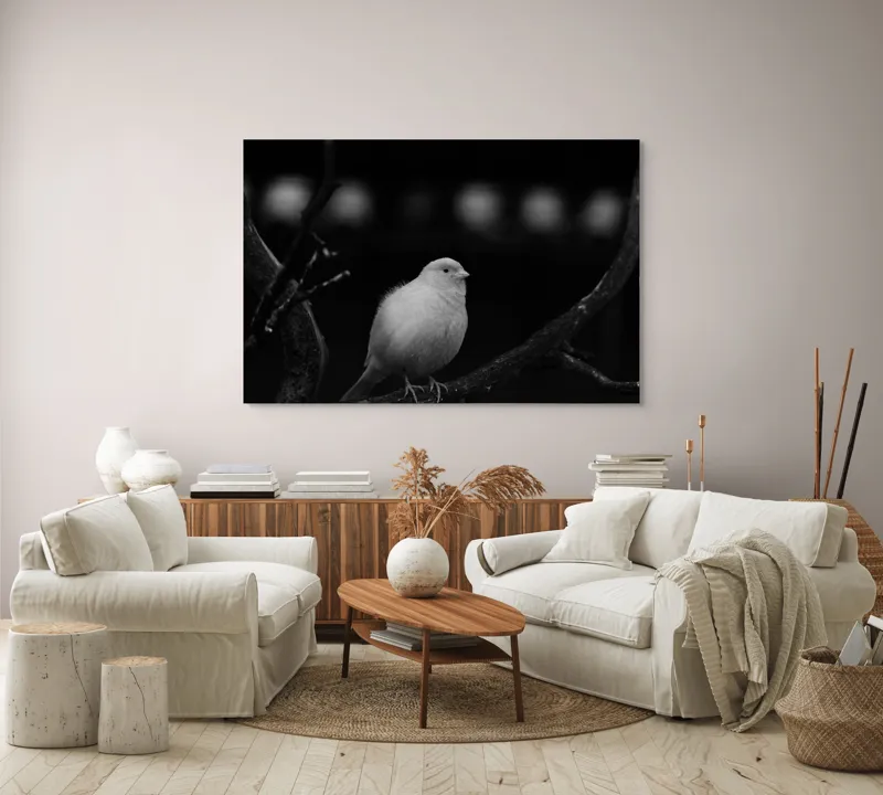 Tablou Canvas, "Pasărea albă pe ramură întunecată", Pasăre, Ramură, Alb, Negru, Liniște, Contrast, Natură, Delicatețe, Singurătate, Contemplare, 150 x 100 cm – poza 3