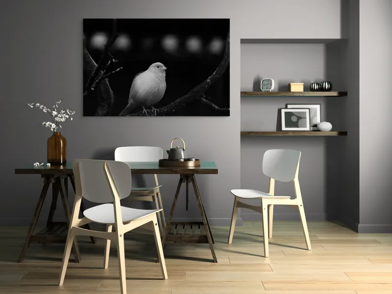 Tablou Canvas, "Pasărea albă pe ramură întunecată", Pasăre, Ramură, Alb, Negru, Liniște, Contrast, Natură, Delicatețe, Singurătate, Contemplare, 150 x 100 cm – poza 5