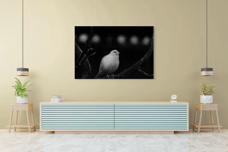 Tablou Canvas, "Pasărea albă pe ramură întunecată", Pasăre, Ramură, Alb, Negru, Liniște, Contrast, Natură, Delicatețe, Singurătate, Contemplare, 150 x 100 cm – poza 6
