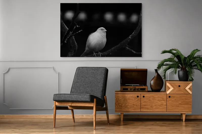 Tablou Canvas, "Pasărea albă pe ramură întunecată", Pasăre, Ramură, Alb, Negru, Liniște, Contrast, Natură, Delicatețe, Singurătate, Contemplare, 150 x 100 cm – poza 8