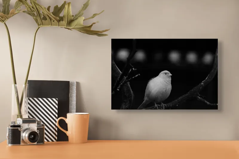 Tablou Canvas, "Pasărea albă pe ramură întunecată", Pasăre, Ramură, Alb, Negru, Liniște, Contrast, Natură, Delicatețe, Singurătate, Contemplare, 39 x 26 cm – poza 3