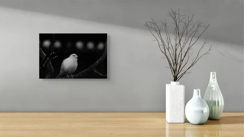 Tablou Canvas, "Pasărea albă pe ramură întunecată", Pasăre, Ramură, Alb, Negru, Liniște, Contrast, Natură, Delicatețe, Singurătate, Contemplare, 39 x 26 cm – poza 8