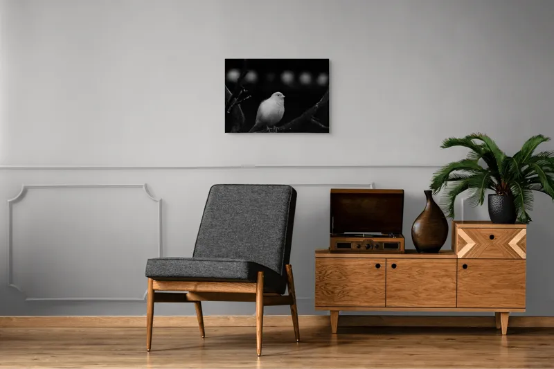 Tablou Canvas, "Pasărea albă pe ramură întunecată", Pasăre, Ramură, Alb, Negru, Liniște, Contrast, Natură, Delicatețe, Singurătate, Contemplare, 70 x 50 cm – poza 4