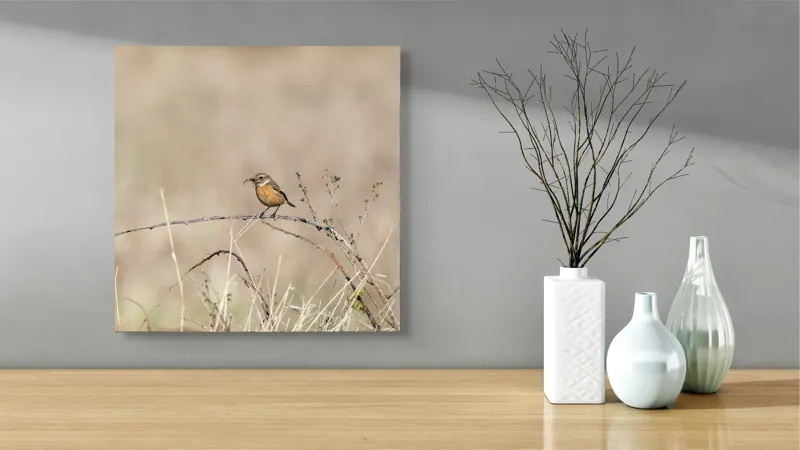 Tablou Canvas, "Pasărea pe o crenguță uscată", Păsăre, Ramură, Natural, Arid, Peisaj, Fragilitate, Subtilitate, Observație, 50 x 50 cm – poza 3