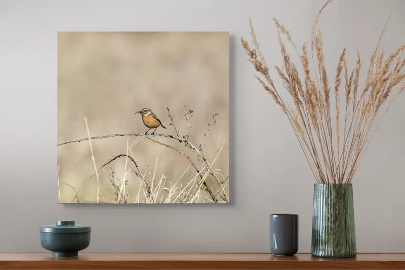 Tablou Canvas, "Pasărea pe o crenguță uscată", Păsăre, Ramură, Natural, Arid, Peisaj, Fragilitate, Subtilitate, Observație, 50 x 50 cm – poza 4