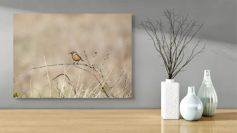 Tablou Canvas, "Pasărea pe o crenguță uscată", Păsăre, Ramură, Natural, Arid, Peisaj, Fragilitate, Subtilitate, Observație, 70 x 50 cm – poza 3