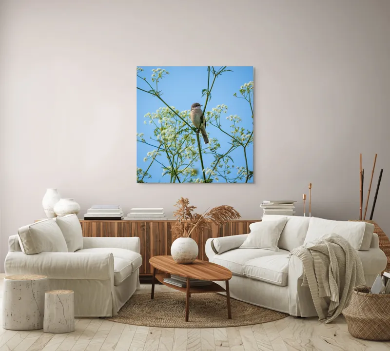 Tablou Canvas, "Pasăre printre flori albe și cer senin", Pasăre, Subțire, Ramuri, Înflorite, Cer, Albastru, Delicat, Primăvară, Natură, Liniște, 100 x 100 cm – poza 3