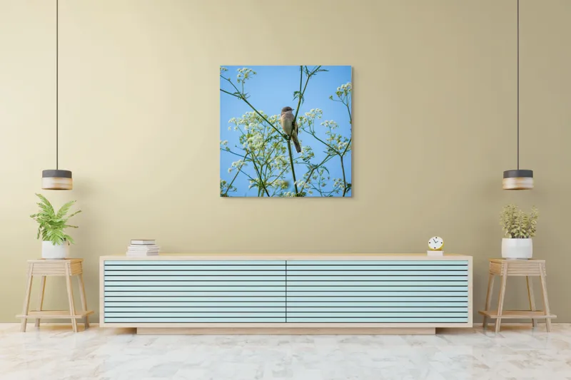 Tablou Canvas, "Pasăre printre flori albe și cer senin", Pasăre, Subțire, Ramuri, Înflorite, Cer, Albastru, Delicat, Primăvară, Natură, Liniște, 100 x 100 cm – poza 5