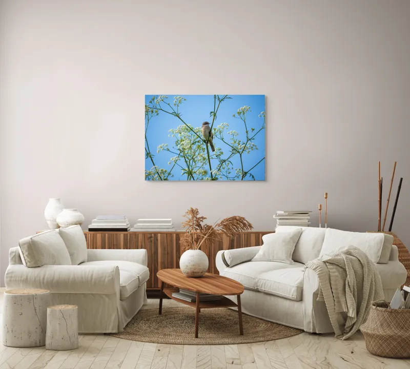 Tablou Canvas, "Pasăre printre flori albe și cer senin", Pasăre, Subțire, Ramuri, Înflorite, Cer, Albastru, Delicat, Primăvară, Natură, Liniște, 100 x 70 cm – poza 3