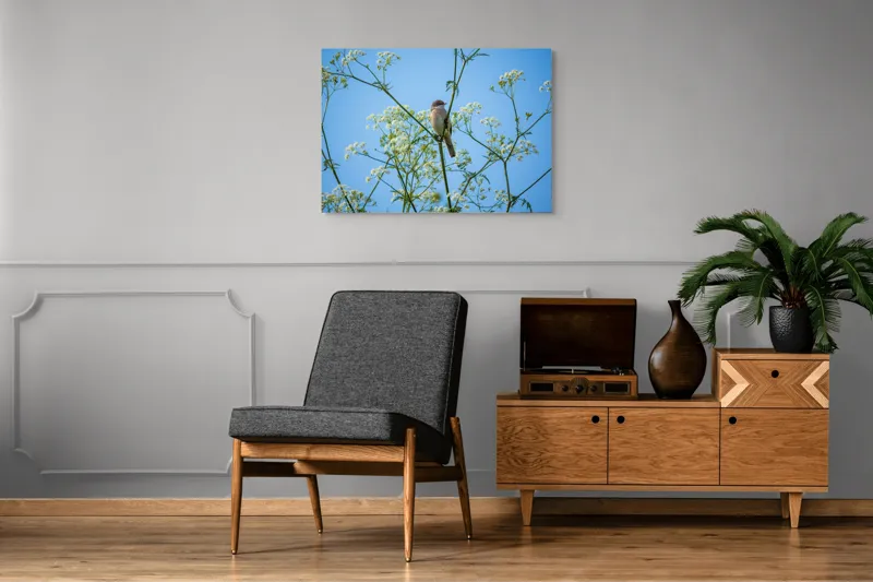 Tablou Canvas, "Pasăre printre flori albe și cer senin", Pasăre, Subțire, Ramuri, Înflorite, Cer, Albastru, Delicat, Primăvară, Natură, Liniște, 100 x 70 cm – poza 8