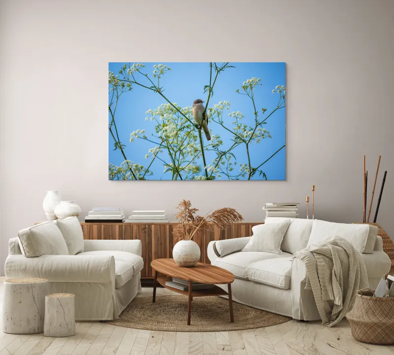 Tablou Canvas, "Pasăre printre flori albe și cer senin", Pasăre, Subțire, Ramuri, Înflorite, Cer, Albastru, Delicat, Primăvară, Natură, Liniște, 150 x 100 cm – poza 3