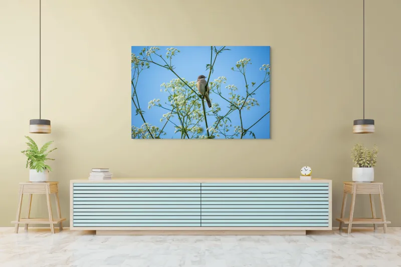 Tablou Canvas, "Pasăre printre flori albe și cer senin", Pasăre, Subțire, Ramuri, Înflorite, Cer, Albastru, Delicat, Primăvară, Natură, Liniște, 150 x 100 cm – poza 6