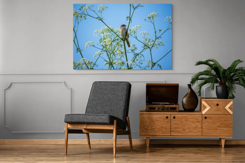 Tablou Canvas, "Pasăre printre flori albe și cer senin", Pasăre, Subțire, Ramuri, Înflorite, Cer, Albastru, Delicat, Primăvară, Natură, Liniște, 150 x 100 cm – poza 8