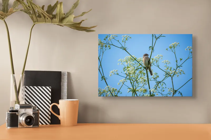 Tablou Canvas, "Pasăre printre flori albe și cer senin", Pasăre, Subțire, Ramuri, Înflorite, Cer, Albastru, Delicat, Primăvară, Natură, Liniște, 39 x 26 cm – poza 3