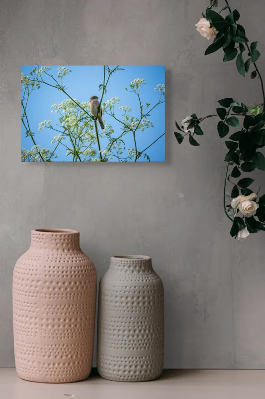 Tablou Canvas, "Pasăre printre flori albe și cer senin", Pasăre, Subțire, Ramuri, Înflorite, Cer, Albastru, Delicat, Primăvară, Natură, Liniște, 39 x 26 cm – poza 4