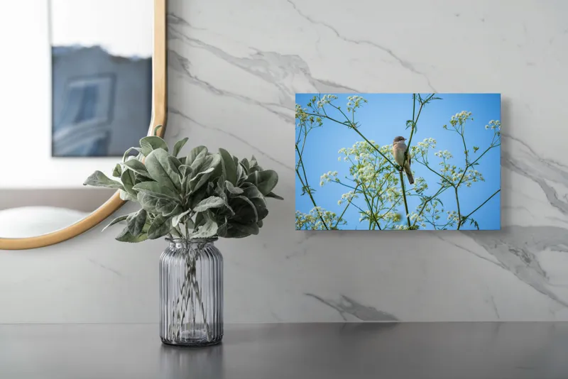 Tablou Canvas, "Pasăre printre flori albe și cer senin", Pasăre, Subțire, Ramuri, Înflorite, Cer, Albastru, Delicat, Primăvară, Natură, Liniște, 39 x 26 cm – poza 5