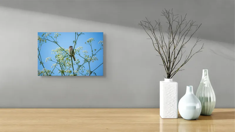 Tablou Canvas, "Pasăre printre flori albe și cer senin", Pasăre, Subțire, Ramuri, Înflorite, Cer, Albastru, Delicat, Primăvară, Natură, Liniște, 39 x 26 cm – poza 8