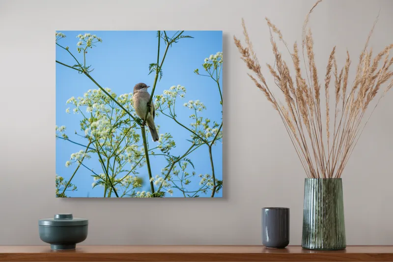 Tablou Canvas, "Pasăre printre flori albe și cer senin", Pasăre, Subțire, Ramuri, Înflorite, Cer, Albastru, Delicat, Primăvară, Natură, Liniște, 50 x 50 cm – poza 4